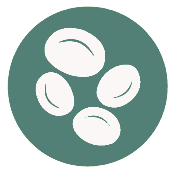血液学